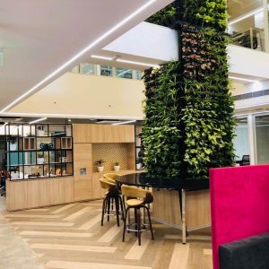 2-mqdc-gk-ii-archee-group