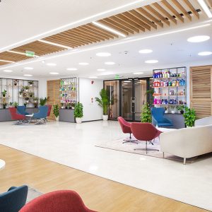 3-Reckitt Hi Reso-archee-group